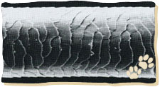 Luchshaar im Elektronenmikroskop (Quelle: Debrot et al. 1982. Atlas des poils de mammifères d'Europe)